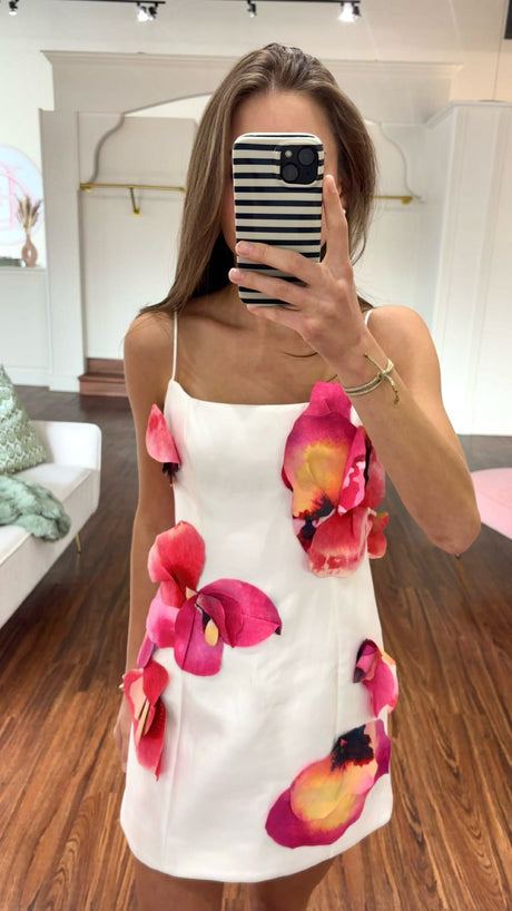 Acler Miltonrise Dress try-on photo