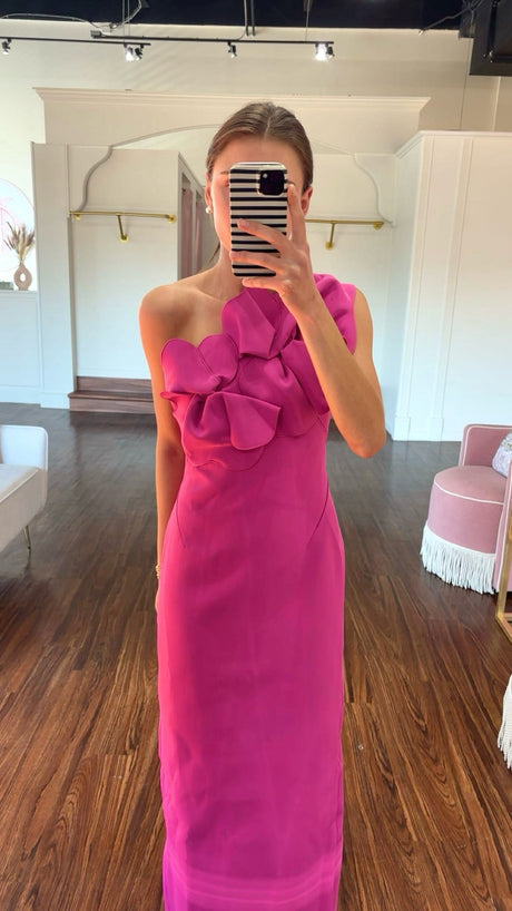 Acler Santani Dress try-on photo