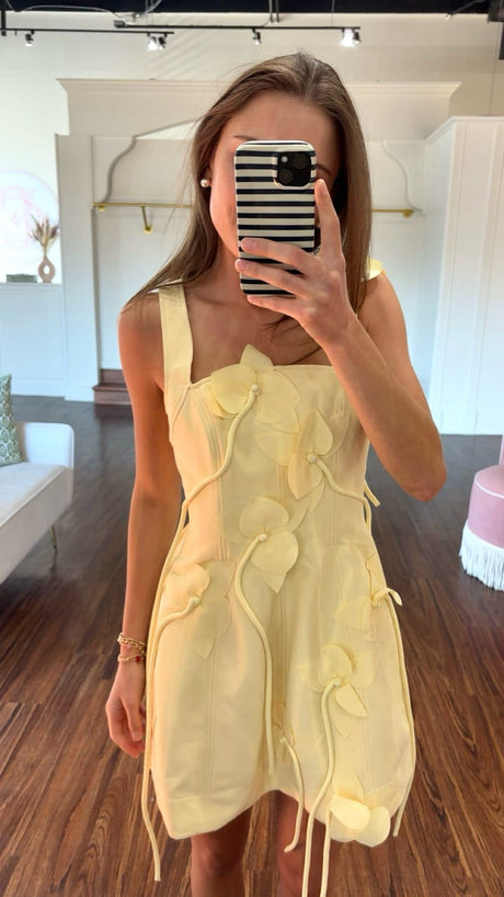 Acler Reeve Dress try-on photo