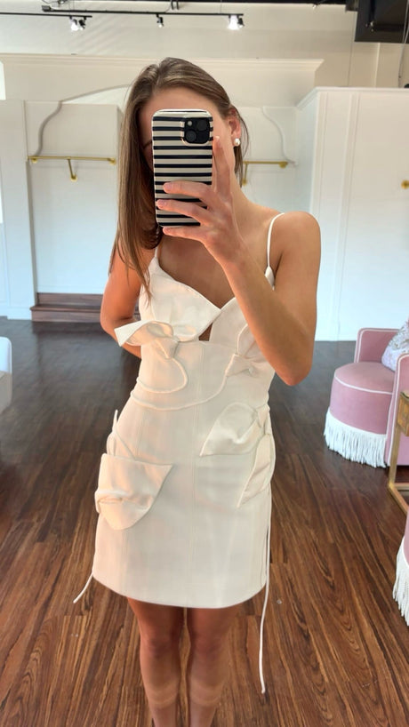 Acler Hillsome Dress try-on photo