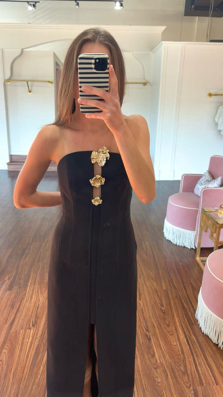 Acler Hawick Dress try-on photo