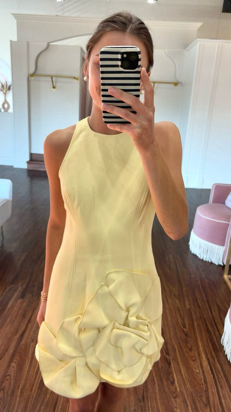 Acler Tantani Dress try-on photo