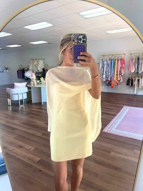 Amanda Uprichard Berkshire Dress try-on photo