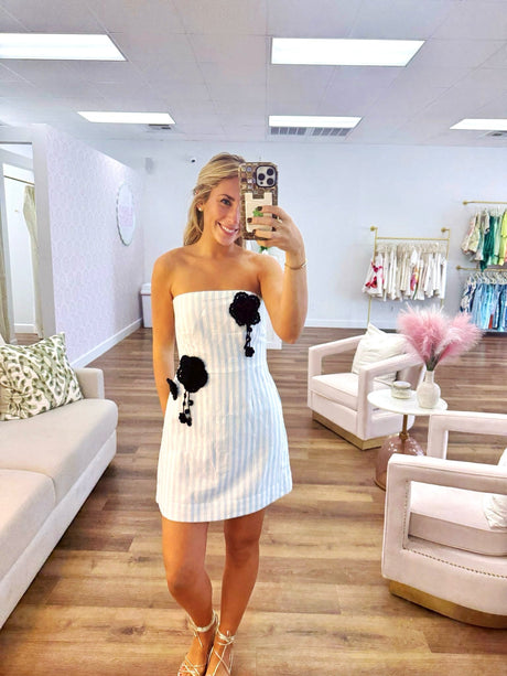 Aston Studio Beatrix Dress- Powder Stripe try-on photo