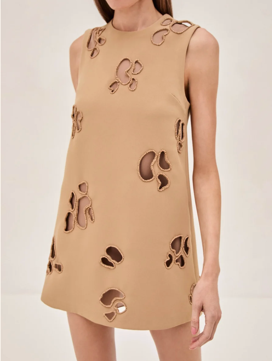 Alexis Ali Dress