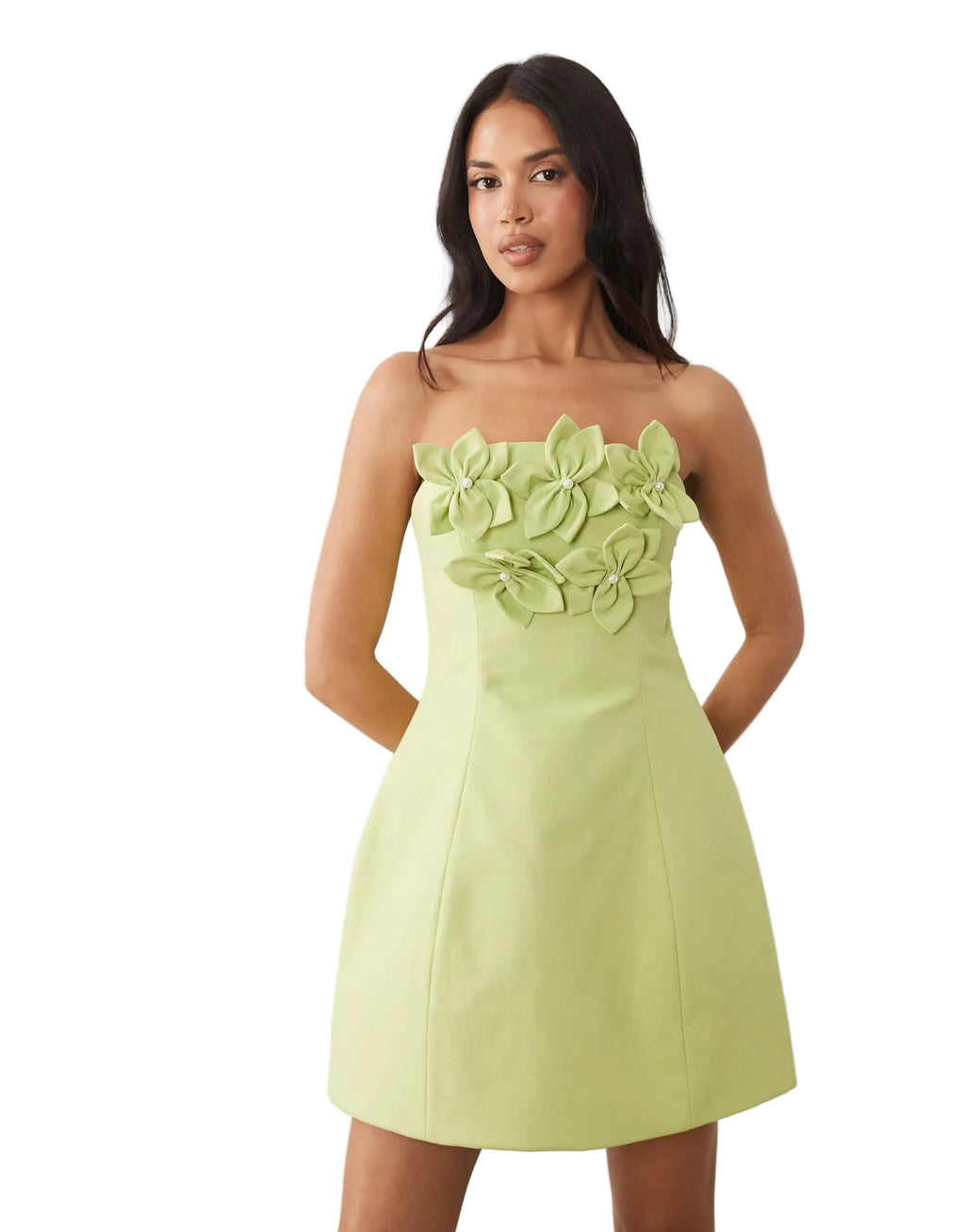 Luxe Corsage Mini Dress