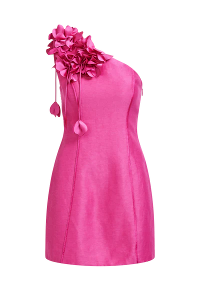 AJE Camille Mini Dress
