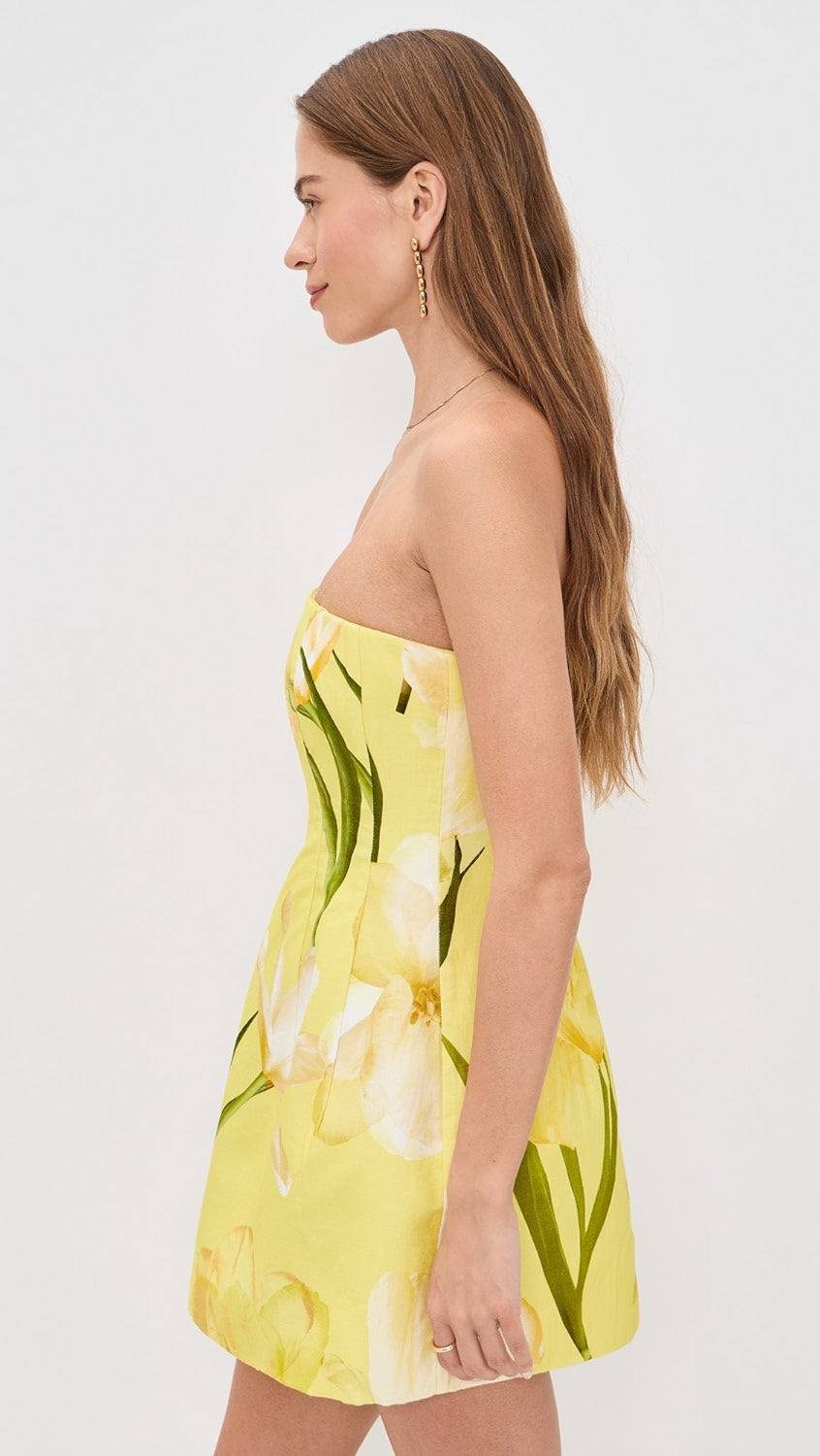 Cara Cara Yellow Ines Dress