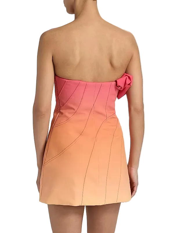 Acler Catterick Dress