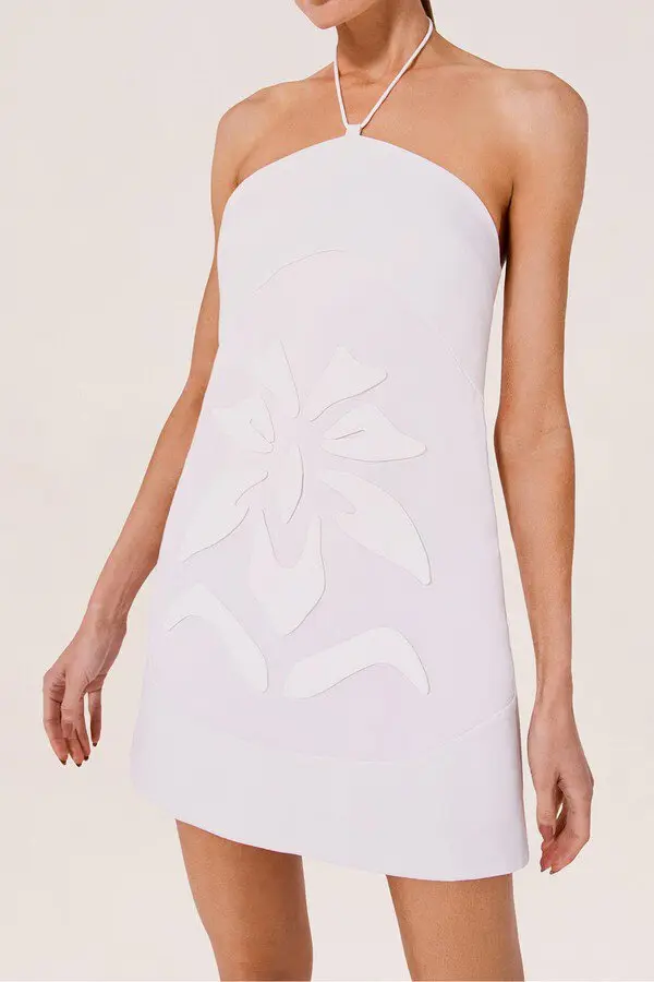 Alexis Dwaine Dress