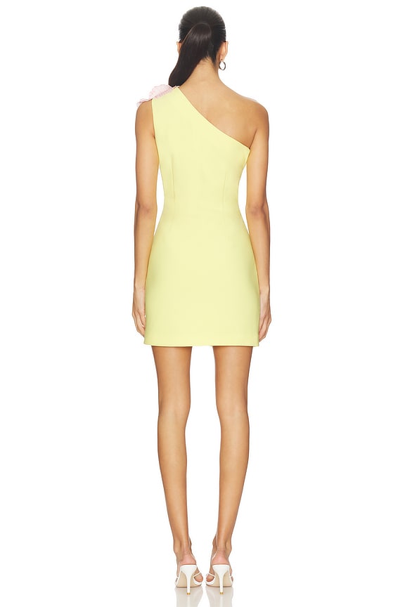 Elliatt Hope Dress