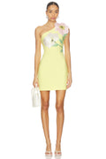 Elliatt Hope Dress