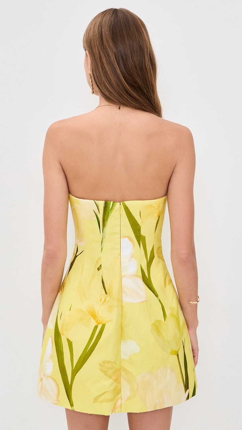 Cara Cara Yellow Ines Dress